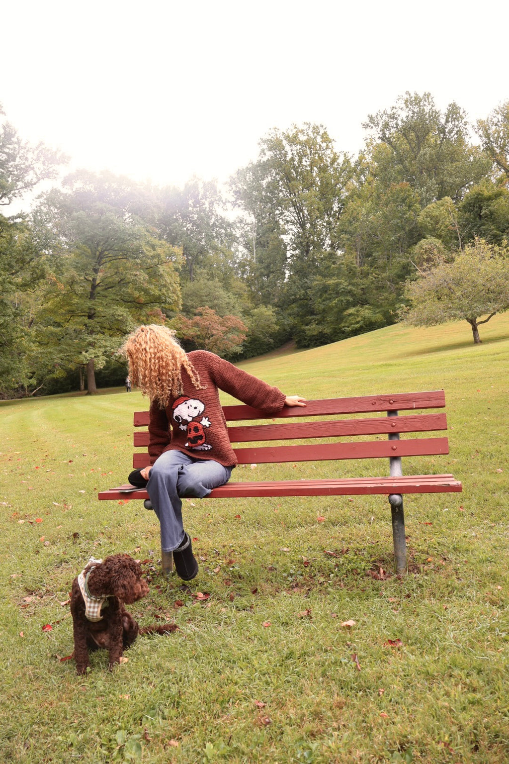Pumpkin Snoopy Sweater Pattern