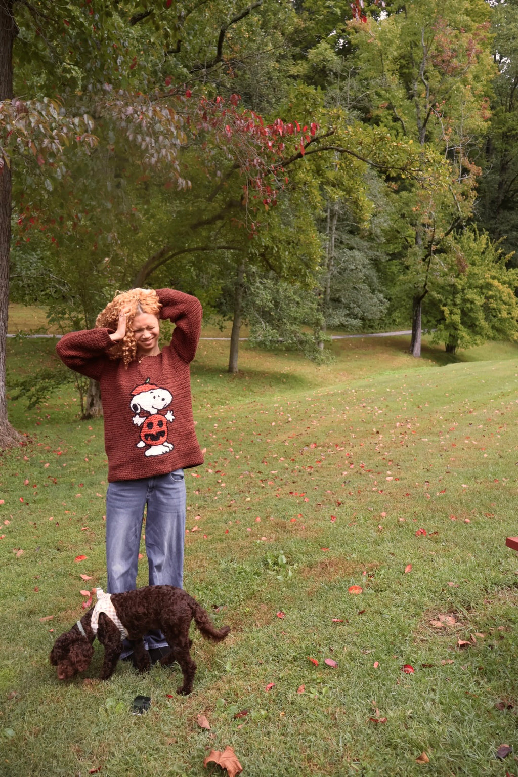 Pumpkin Snoopy Sweater Pattern