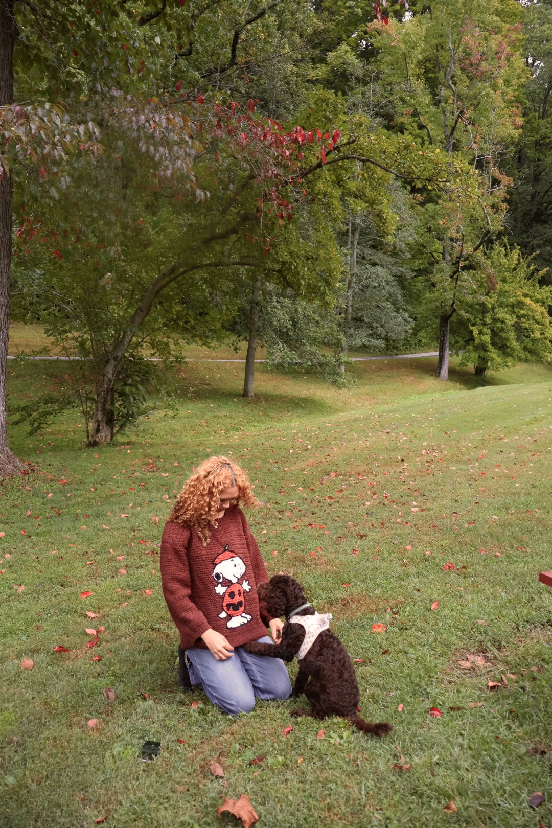 Pumpkin Snoopy Sweater Pattern