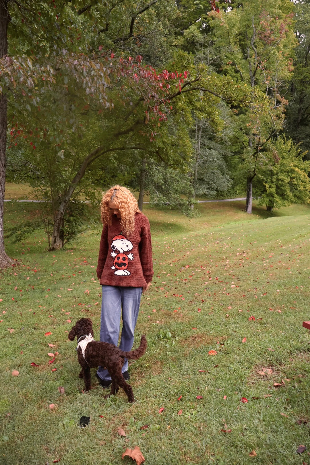 Pumpkin Snoopy Sweater Pattern