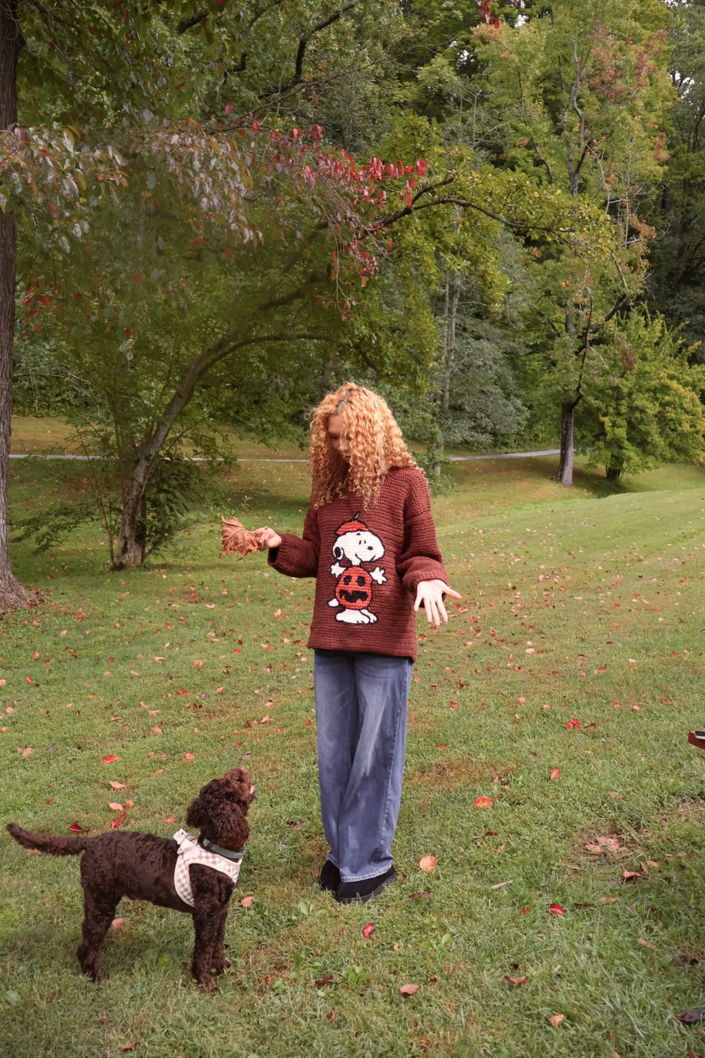Pumpkin Snoopy Sweater Pattern