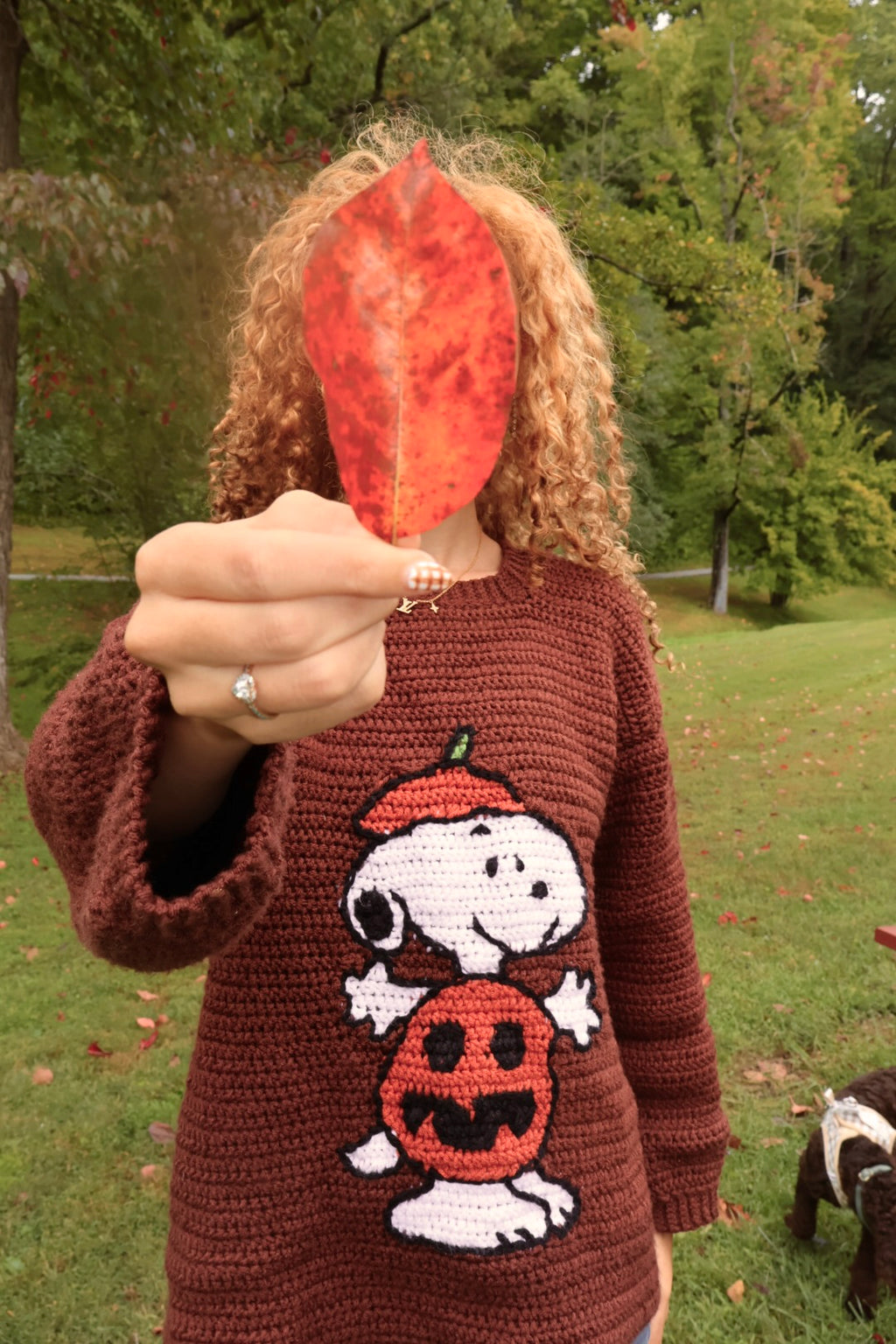 Pumpkin Snoopy Sweater Pattern